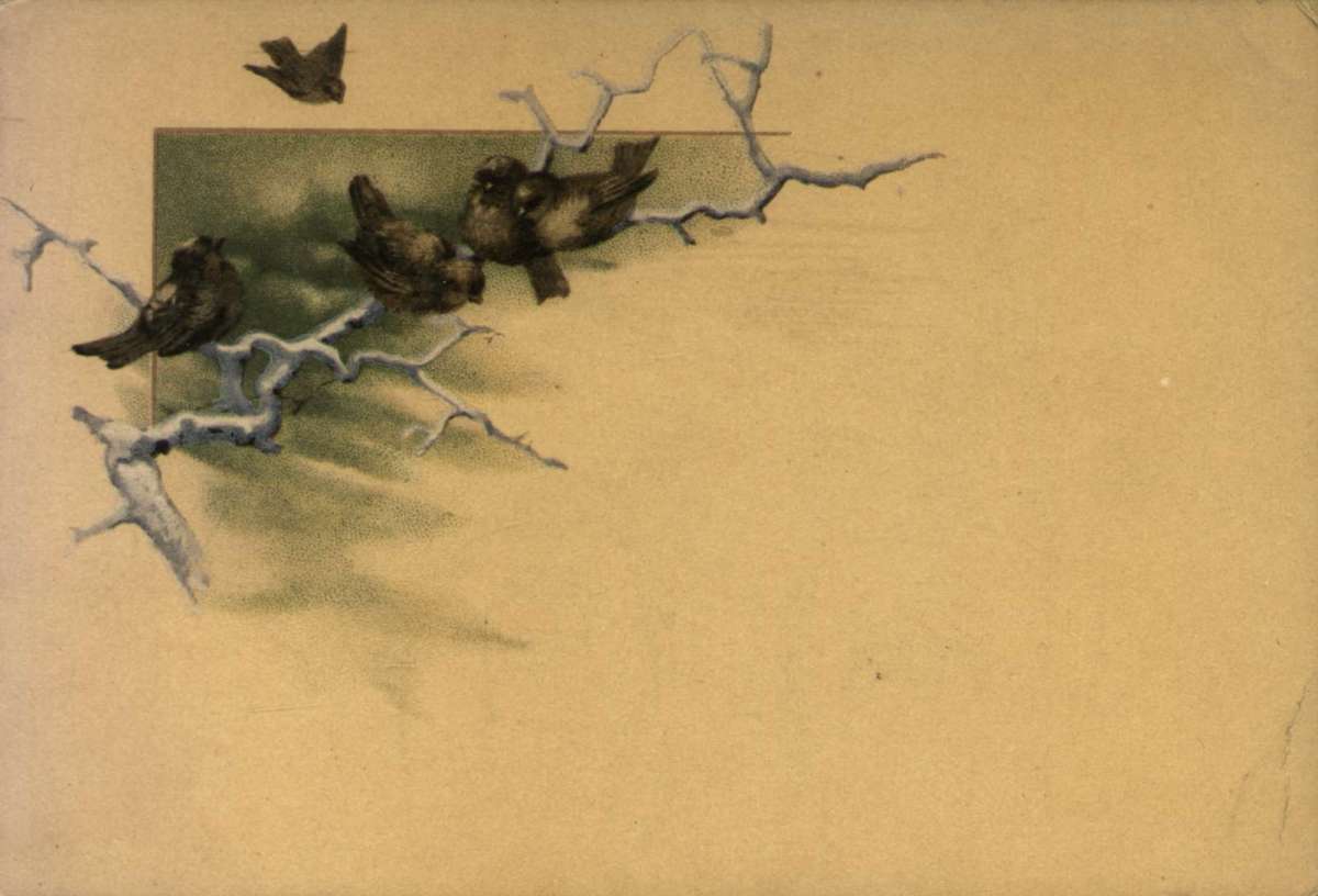 Postkort. Nyttårshilsen. Fugler på en grein.
20.03.1890.