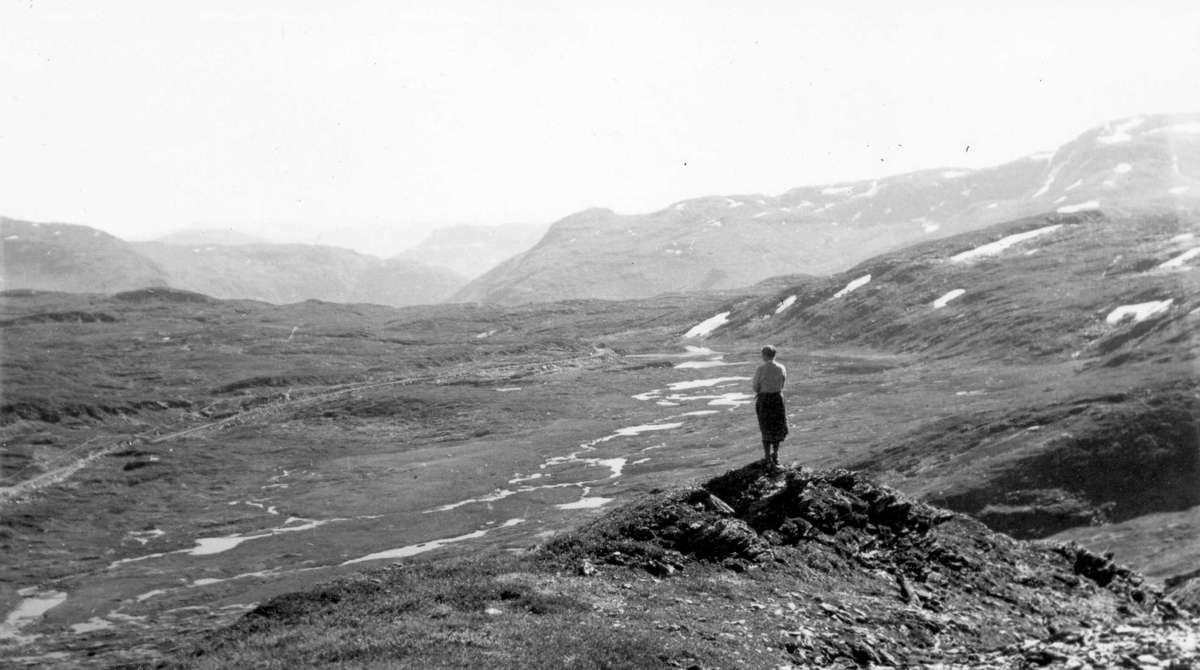 Fjellandskap På Skjellingarosa I Voss Norsk Folkemuseum Digitaltmuseum