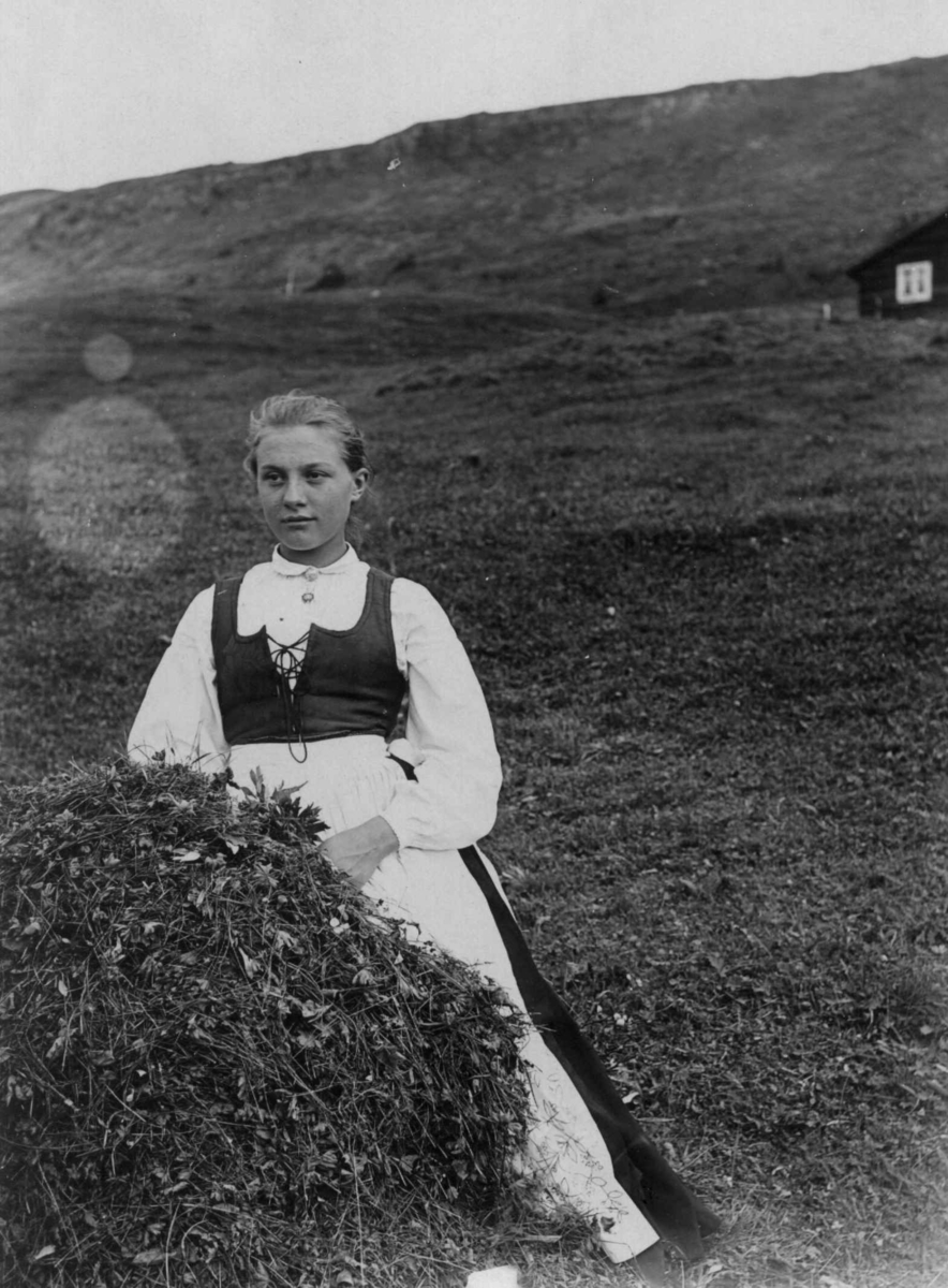 Pike sittende i åpent landskap, ukjent sted. Drakt muligens fra Gudbrandsdalen, Oppland.
Serie tatt av Robert Collett (1842-1913), amatørfotograf og professor i zoologi. 