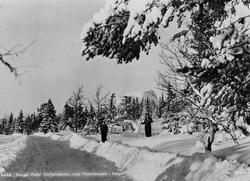 Avfotografert postkort. To skiløpere i ferd med å krysse en 