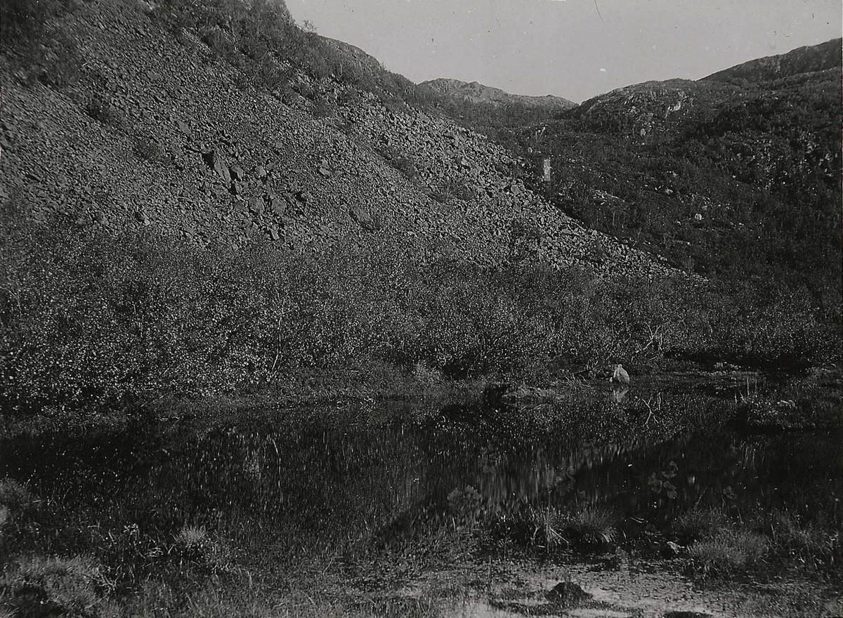 Landskap, Laksefjord, Lebesby, dalbunn og fjellskråning. 
Del av serie fra en forskningsreise i Øst-Finnmark 1909.