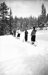 Sverre og Clara Ramstad på skitur med venner. Påsken 1940 på