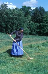 Kvinne iført drakt, i arbeid på jordet, hvor hun raker samme