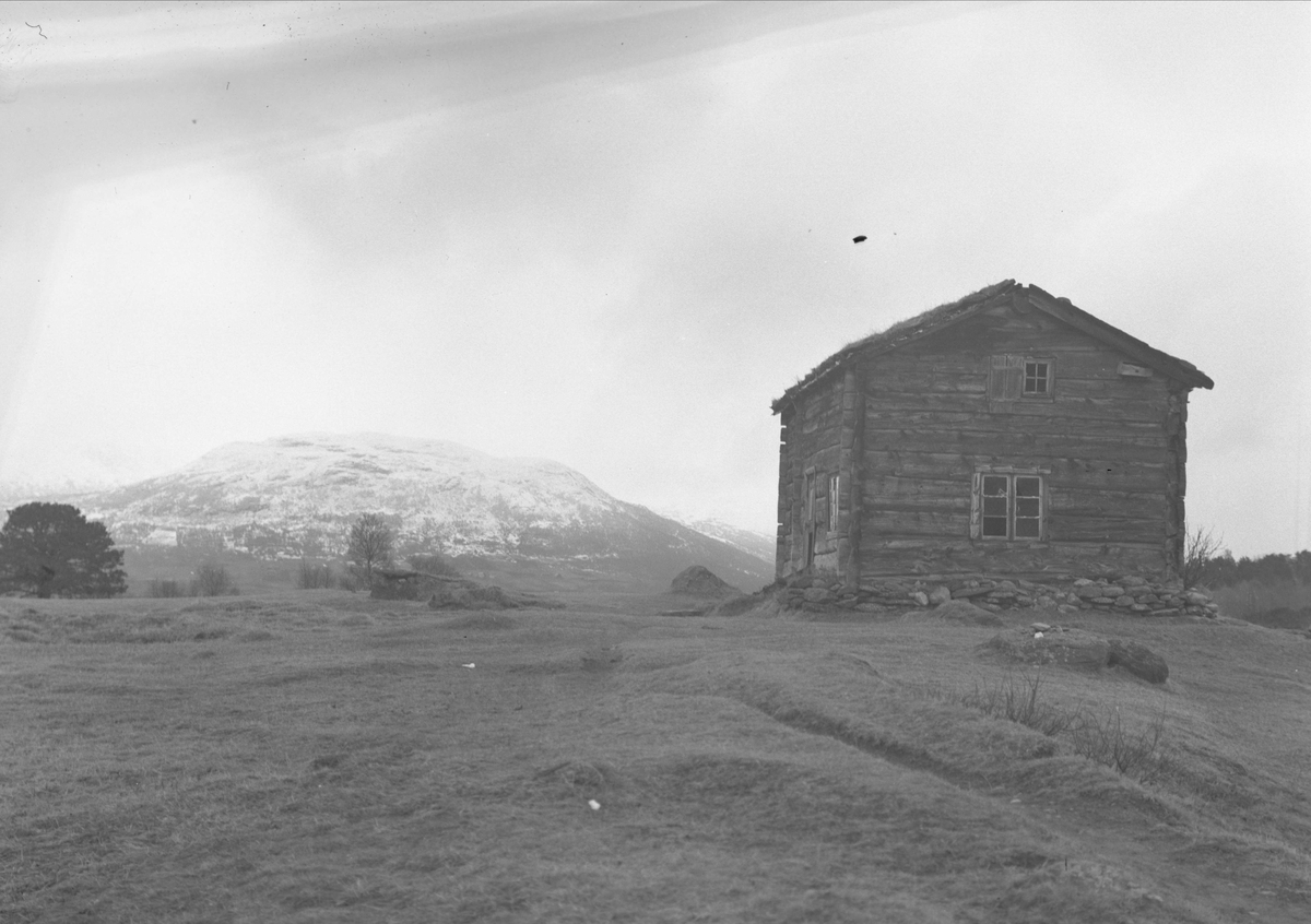 Husmannsplass, Snekkerhaugen, Mjøa, Oppdal, Sør-Trøndelag. Fotografert 1937. Fra album. 