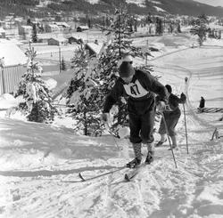 Serie. Skiløperen Sverre Stensheim går femmila i NM 1955 og 
