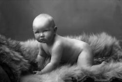 Portrett, naken barn på skinnfell. Redaktør Christoffersens 