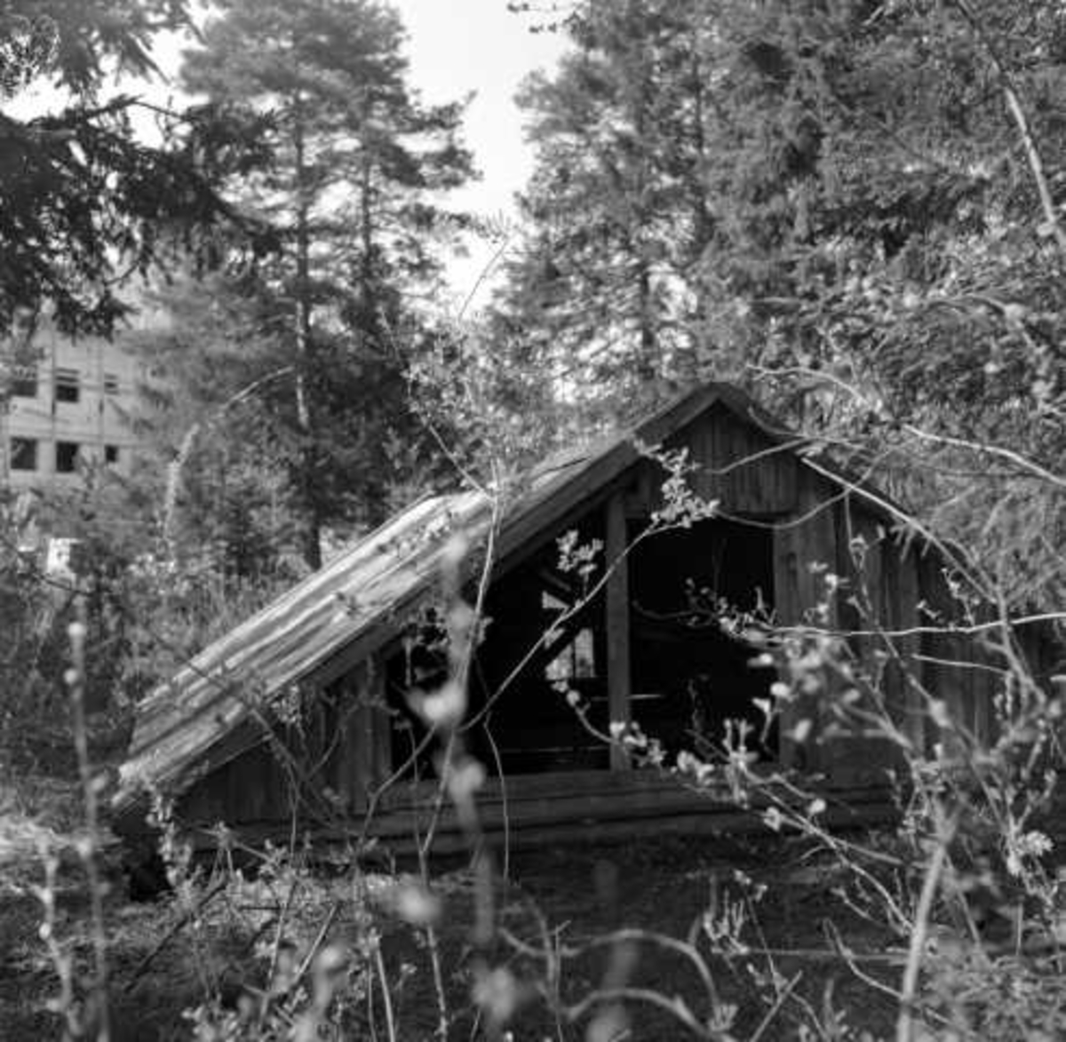 Brønnhus, juni 1956.