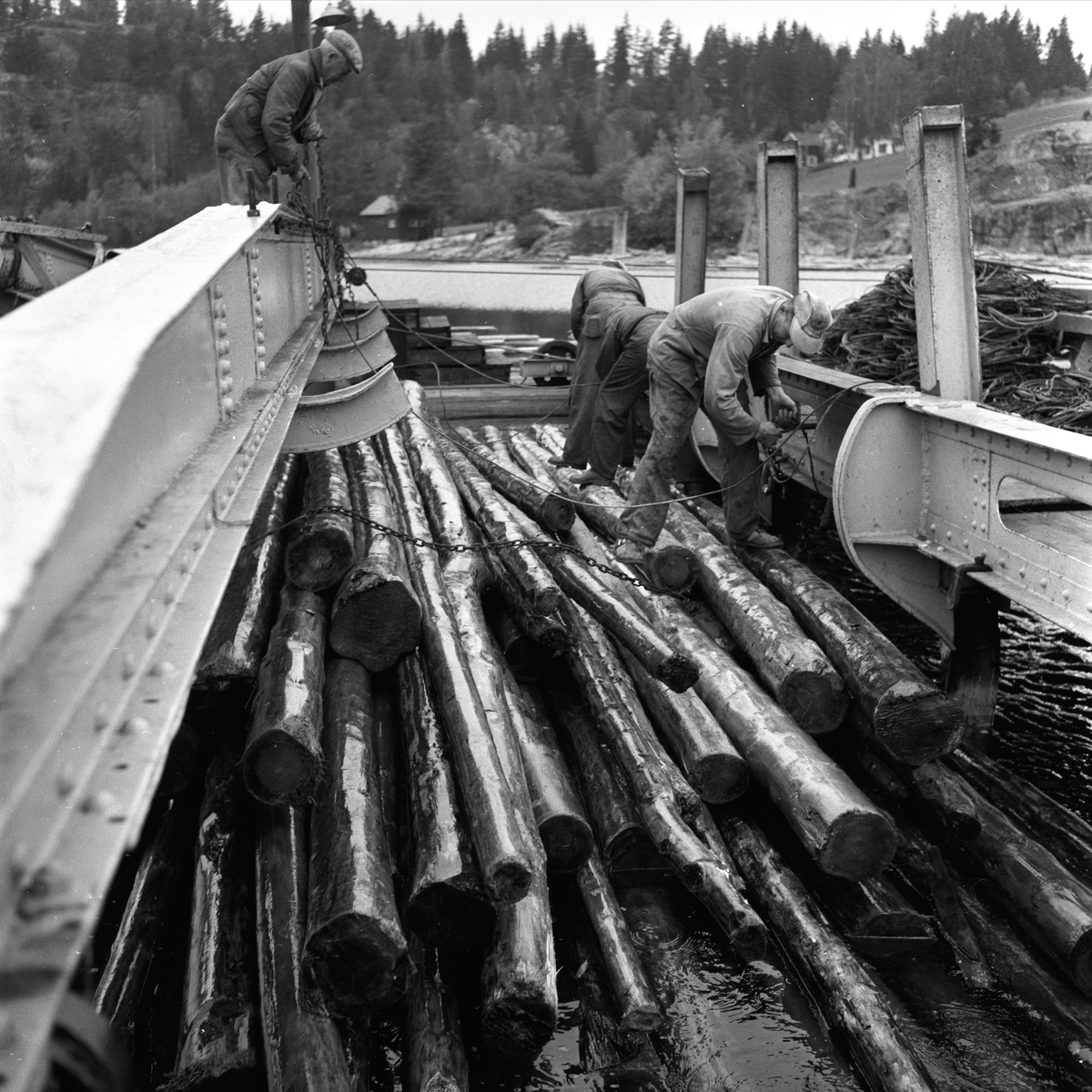 Tømmerfløting ved Fredrikstad, Østfold, 10.10.19659. Menn i arbeider med tømmer. Mosing av tømmer.