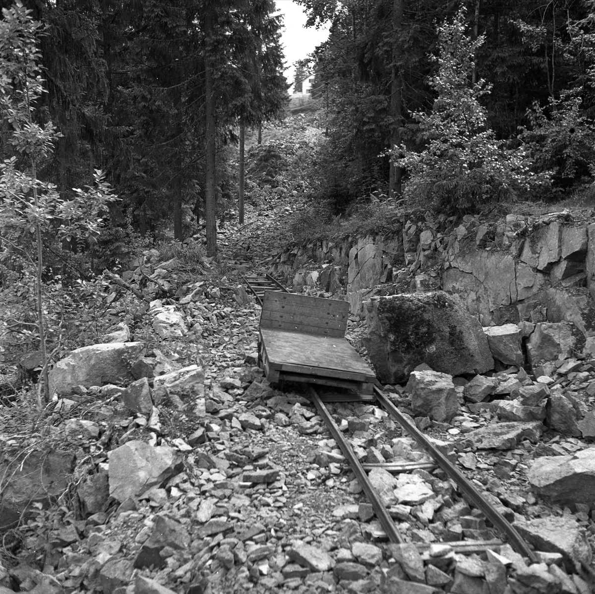 Ammerud, Oslo, juni 1954. Dårlig vei i skogen.