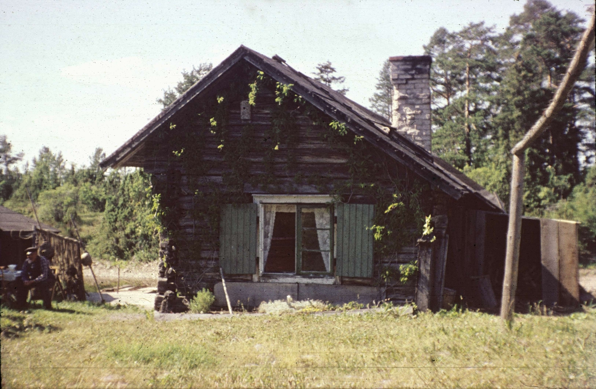 Bostadshus i Billhamn, Älvkarleby socken, Uppland 1953