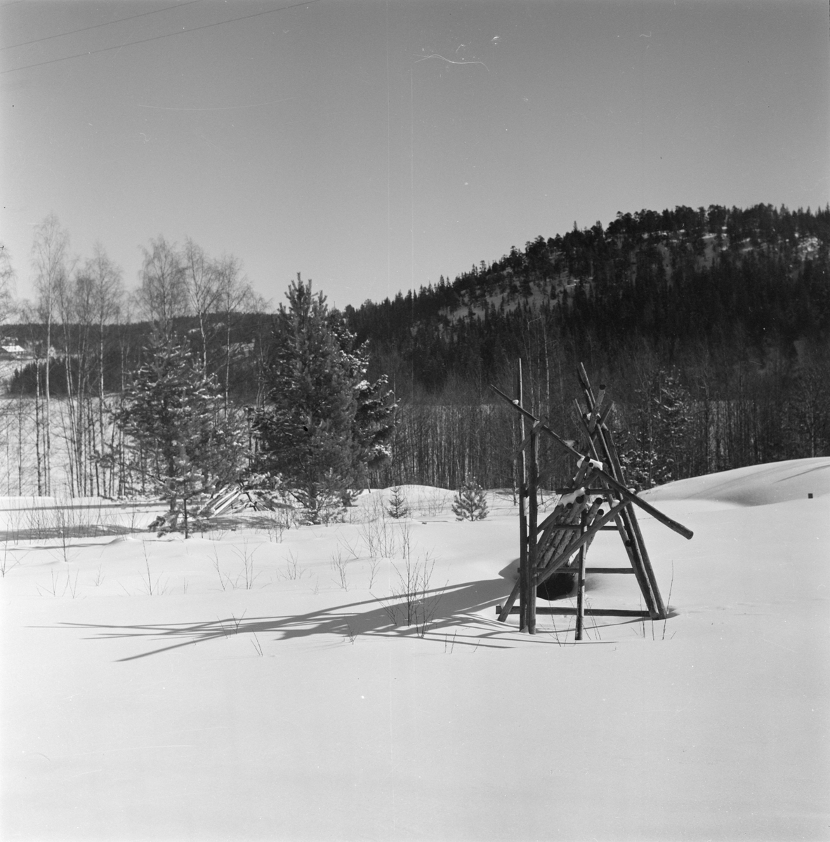 Hässja på vintern, sannolikt i Gävle, Gästrikland