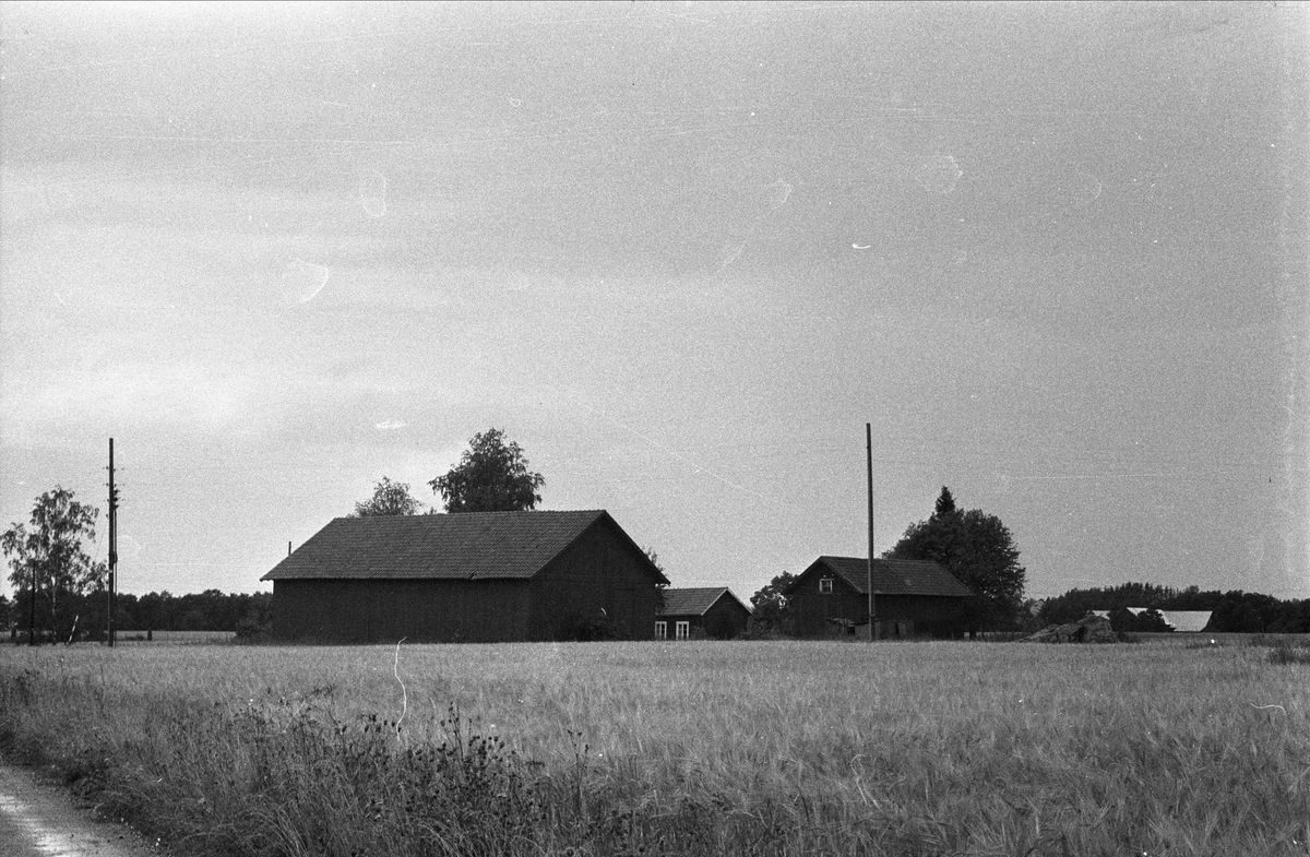 Landskapsvy över Grimsta 4:1, Ärentuna socken, Uppland 1976