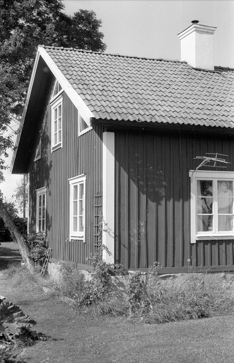 Bostadshus, Ängeby 8:2, Börje socken, Uppland 1983