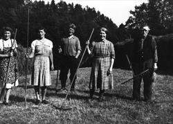 Høyonn på Gangså Øyslebø.