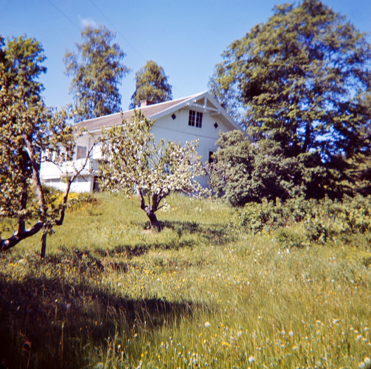 Solvang skole, Furnes, senere avløst av Øksenset skole.