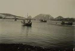 Fiskebåter på felt, ukjent sted