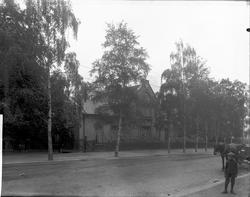 Theresegate 46 for Direktør Coucheron. facade med trær fra g