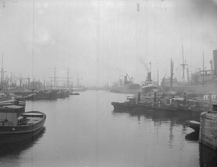Enligt text som medföljde bilden: "Belgien, Antwerpen, Kattledyk Dock."