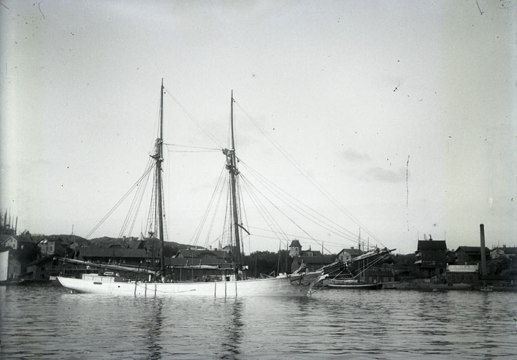 Skonerten ZIBA vid Lysekil 1899