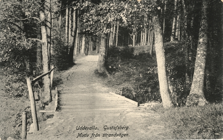 Tryckt text på vykortets framsida: "Uddevalla, Gustafsberg. Motiv från strandvägen."