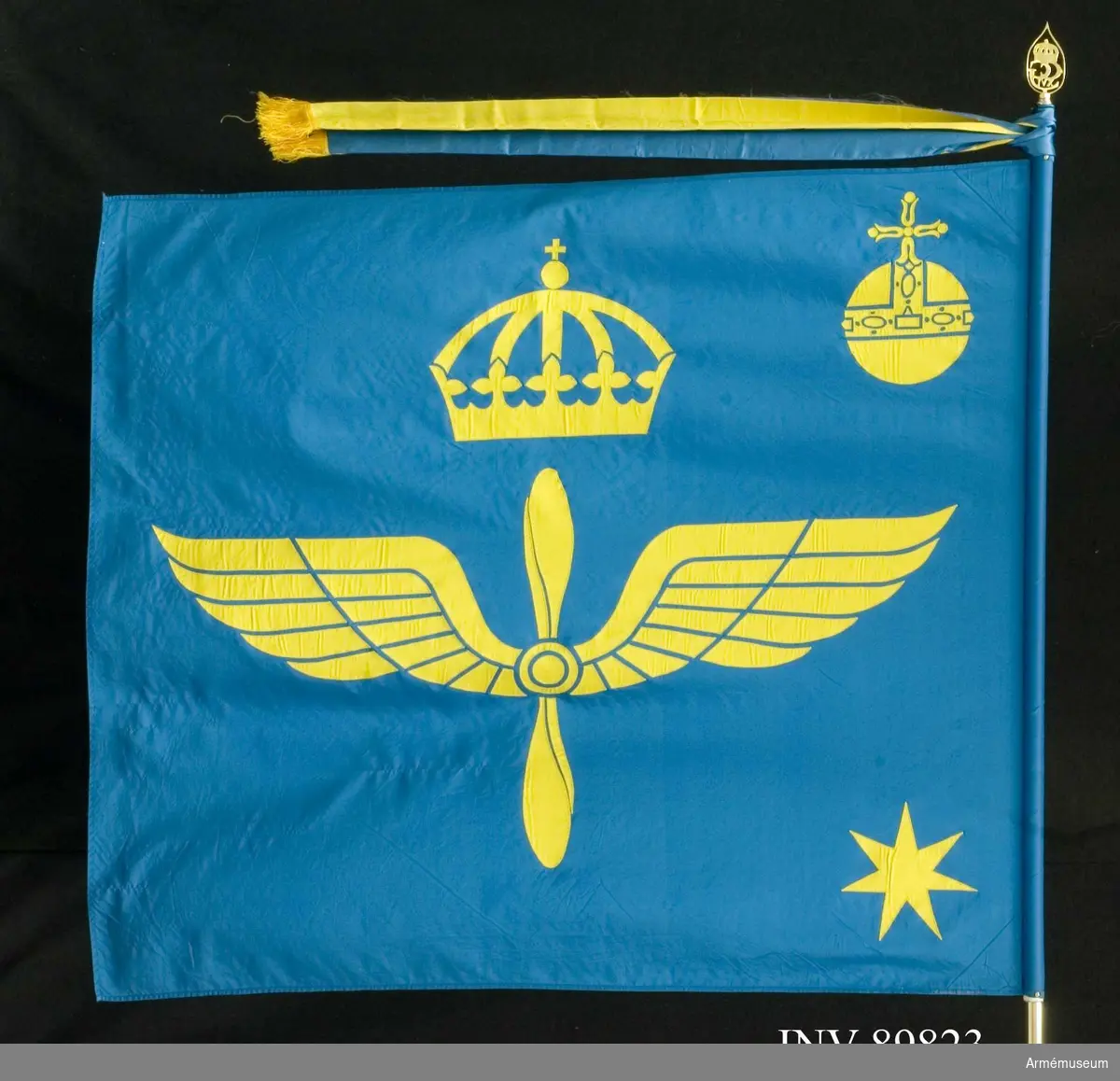 På blå duk i mitten flygvapnets vapenbild; under en kunglig krona en vingad tvåbladig propeller, allt i gult. I övre inre hörnet landskapet Upplands vapenbild; ett gult riksäpple och i nedre inre hörnet en sjuuddig gul stjärna (traditionsarv från sju nedlagda flottiljer: Västmanlands flygflottilj F1, Roslagens flygflottilj F2, Östgöta flygflottilj F3, Svea flygflottilj F8, Södermanlands flygflottilj F11, Bråvalla flygflottilj F 13 och Södertörns flygflottilj F18). Fanan är ritad av Ingrid Lamby och tillverkad i applikationsteknik och maskinbroderi vid Engelbrektssons Flaggfabrik.