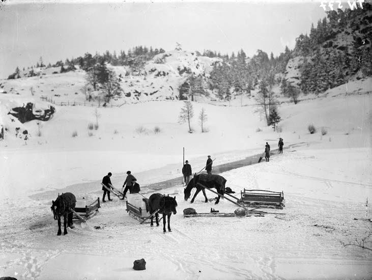 Enligt tidigare noteringar: "Isupptagning, sågning av isblock på fruset vatten och borttransport av blocken med häst och släde."