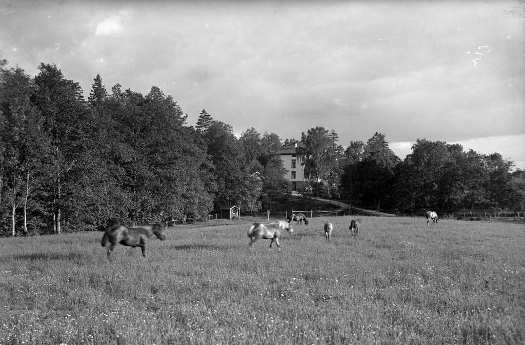 Text till bilden: "Vy över Gräskärs skyddshem. Den 18/6 1922".