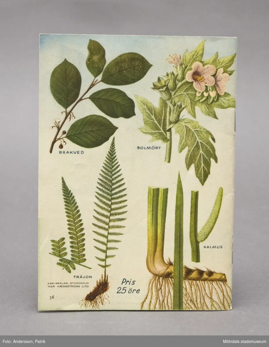 Bok: "Samla medicinalväxter", utgiven av Medicinalstyrelsens Materialnämnd. Utarbetad av W. Bondesson. Bilaga; ihopvikt ark med färgillustrationer av medicinalväxter. 
