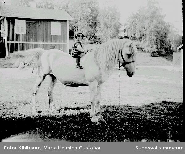 Ett barn sitter på en häst på gårdsplanen.