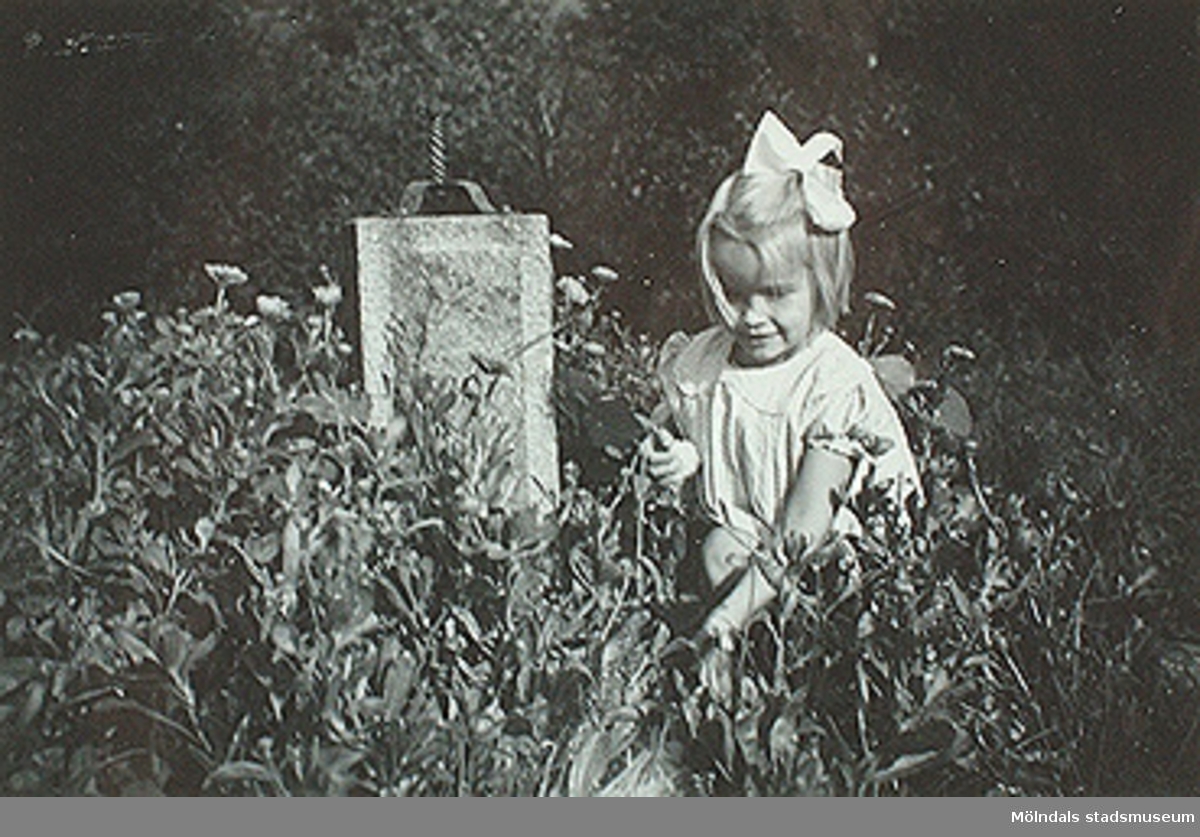 "Lilla Anja blid och rar i tant Margits minne lever kvar".

Fotot sitter i albumet (invnr: 03395) "Krokslätts daghem, Dalhemsgatan 7, Mölndal.
2 juni 1948 - 30 sept 1951"

illustrerat av Ruth Karlsson.