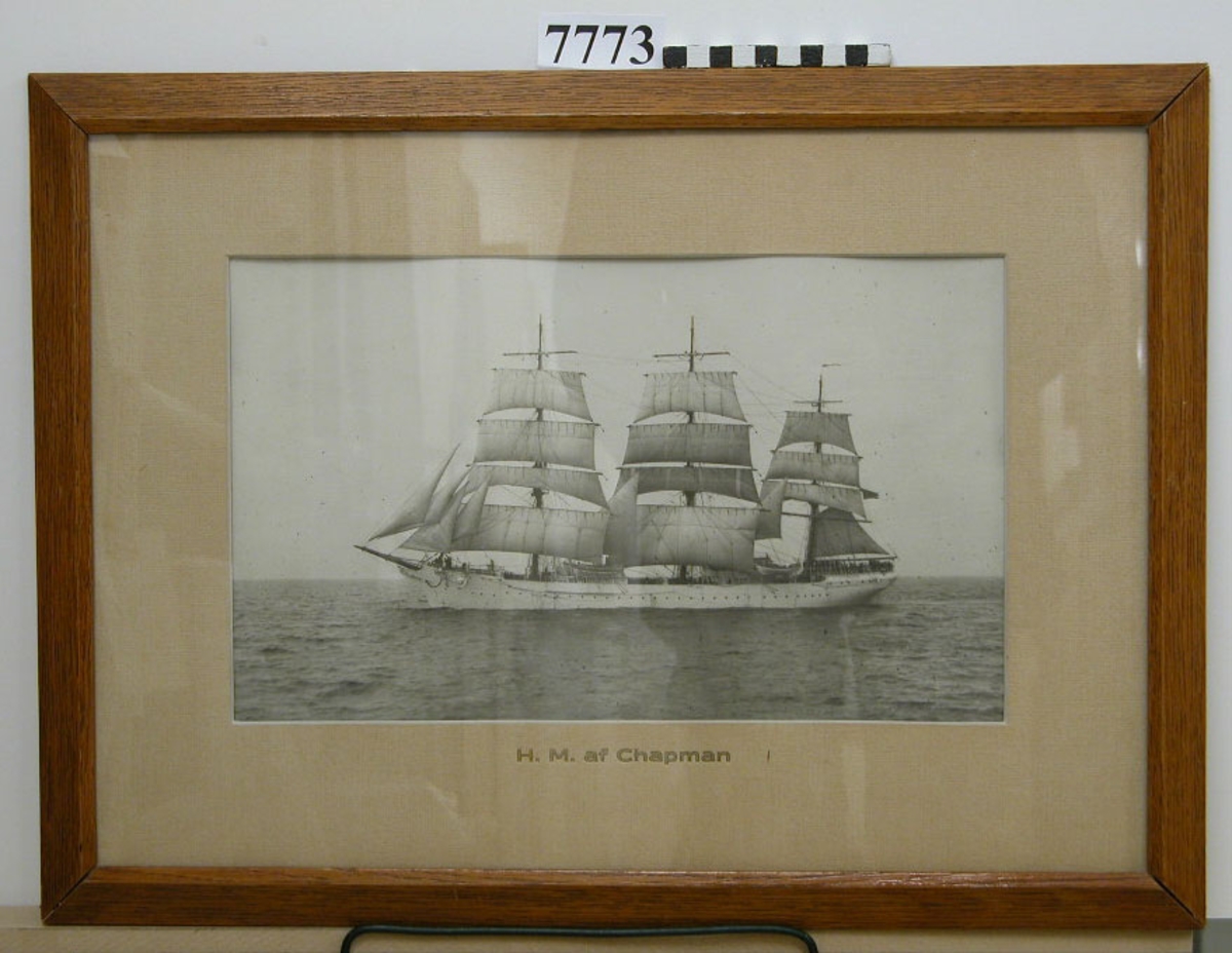 Tavla inom glas och ram. Ramen av trä, fernissad. Visar foto av övningsfartyget af Chapman under segel. Fotot inom ram av kartong, grå, med texten: H.M. af Chapman.
Neg.nr A767 3:17