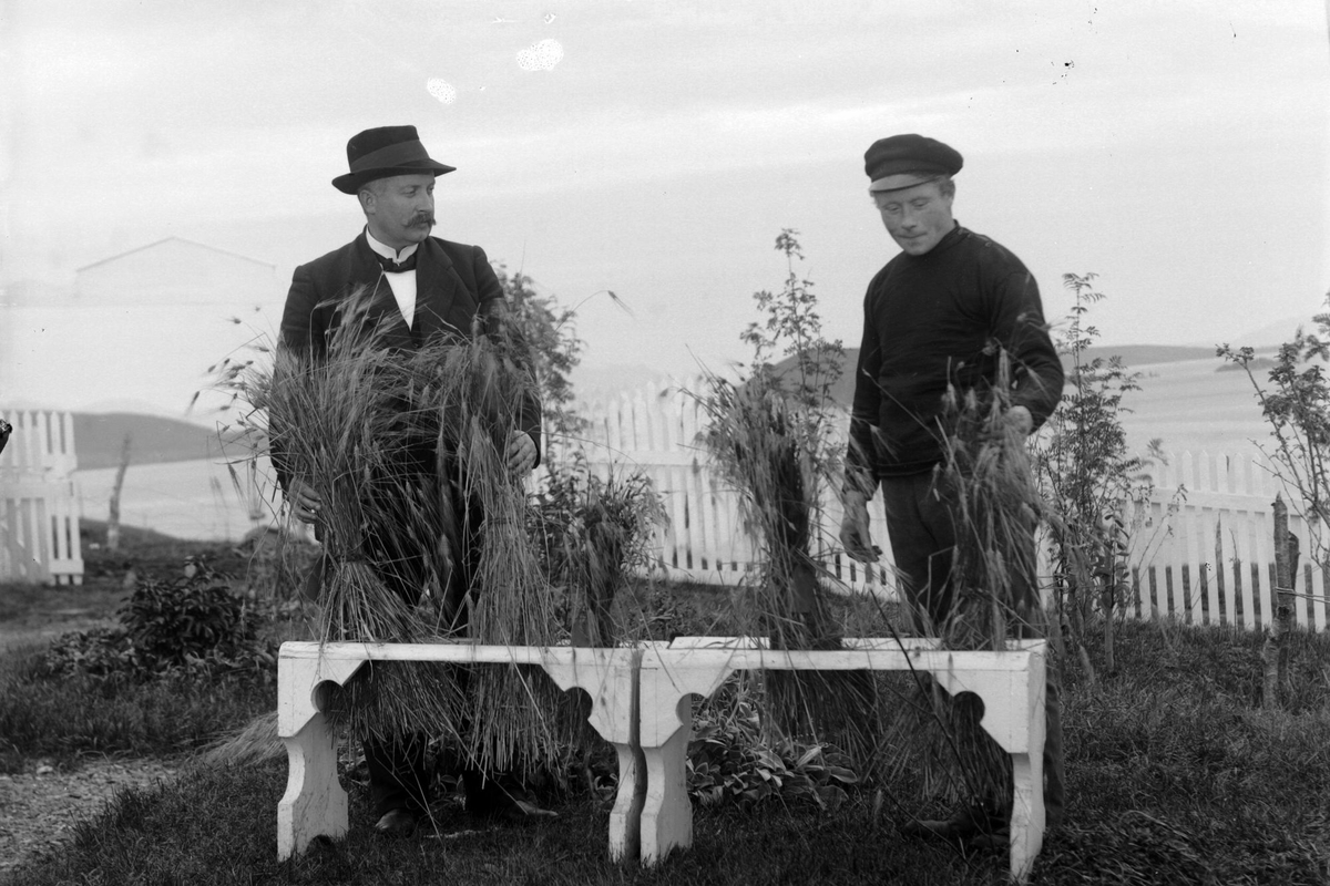 To menn viser frem kornaks i hagen på Røkenes gård. I forgrunnen to  benker.