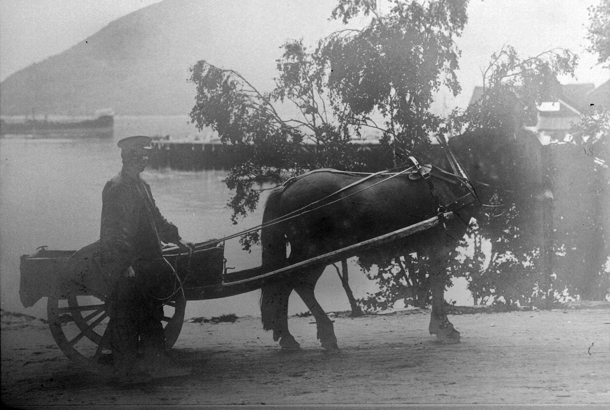 Mann med hest og kjerre går langs en vei ved Harstadsjøen. Dampskipskaia og Gangsåsen i bakgrunnen.