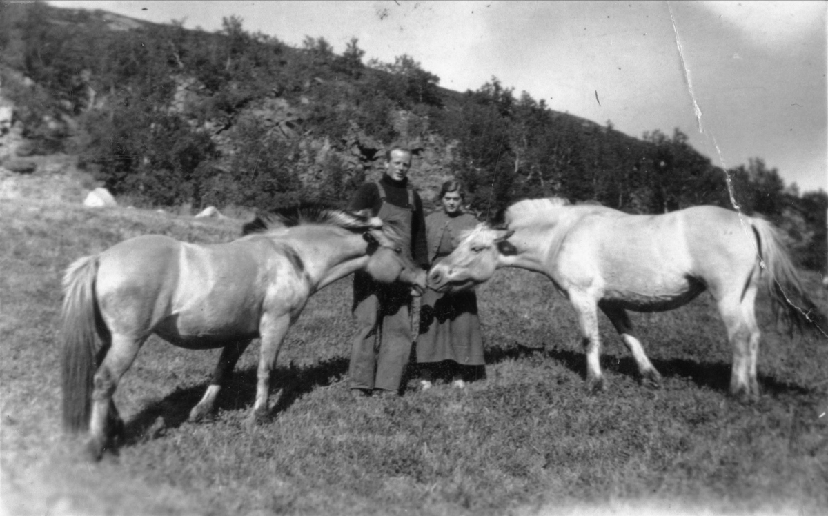 Kåre Klæbo og Solveig Pedersen med to hester.