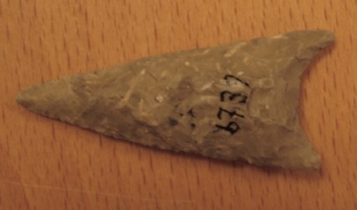 06 739 Från Skattegården, Laske-Vedum socken, Västergötland.
 

Tångepilspets, (lundbytyp). Flathuggen med urnupen bas. L. 7 cm. B. 2,5 cm.


Spjutspets, 1 st.