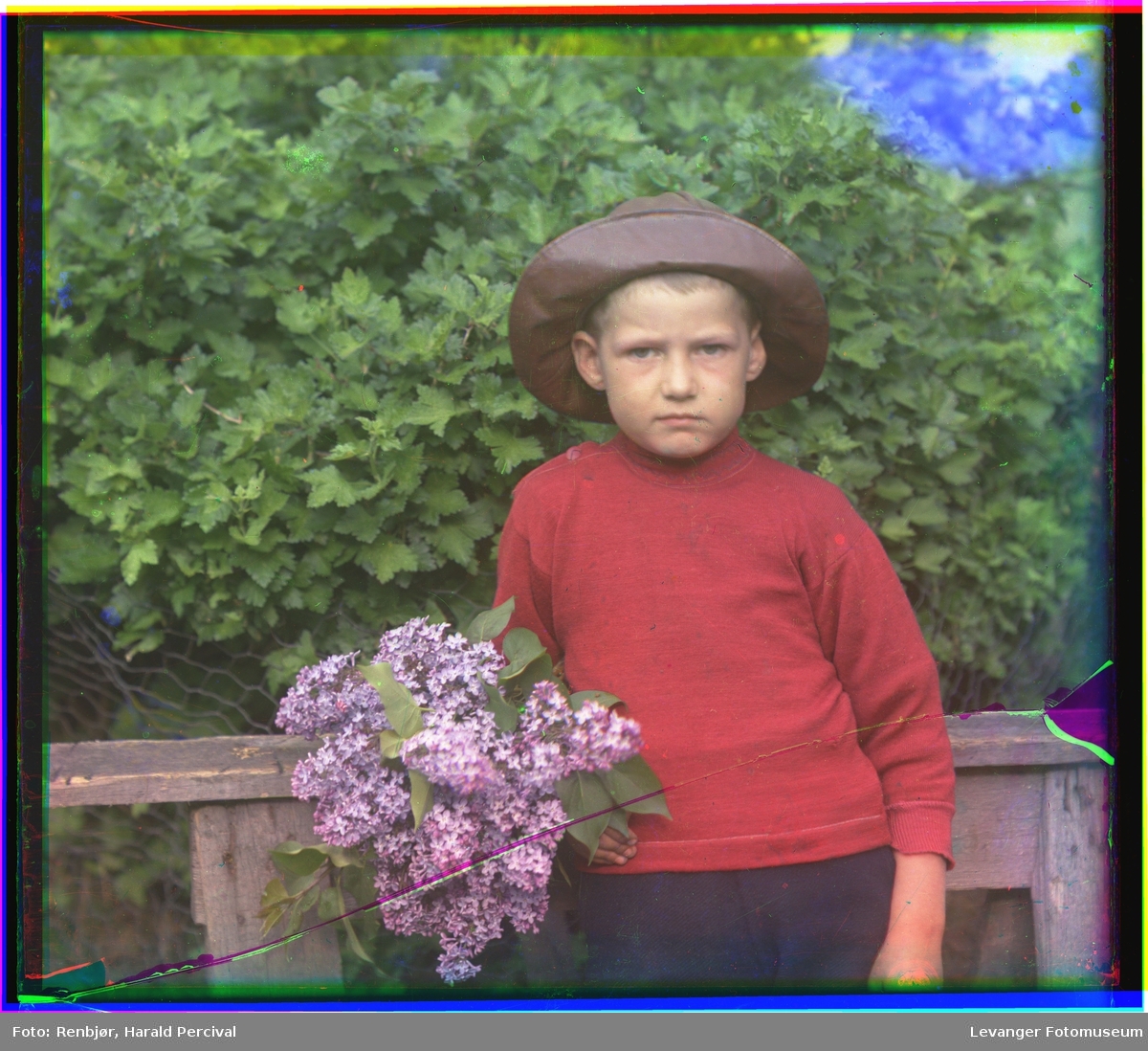 Portrett av gutt med syrinbukett.