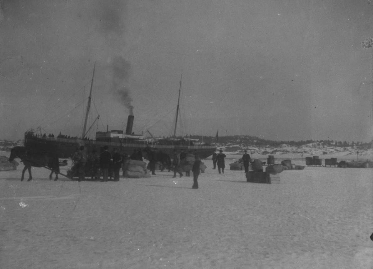 Dampbåten "Kong Sverre", lasting og lossing ved iskanten mars 1895, foto av foto