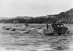 Regatta Birgir Bråtø. Fotografert fra innsiden av Langøya ve