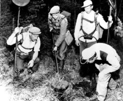 Thomas Wennevik, ukjent, Per Wennevik og Richard Moe søker m