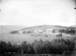 Domaas. 13/9 - 02. Gårdsbruk, gårdsbygninger, trær