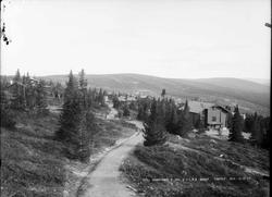 Kort: S. Fron, 1/7-1903 Golaa. Prins Karls vei. Bygninger, t