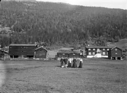 Nord-Fron 29.09.1908. Gården Steine. Bolighus, uthus, gruppe