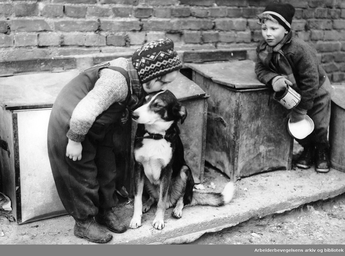 Barn med en hund i et gårdsrom i Jens Bjelkes gate,.mars 1949