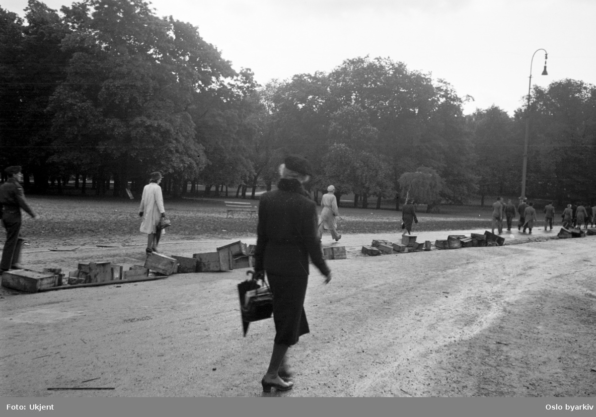 Slottsparken ned mot Karl Johans gate. Folk på vandring 7. juni 1945 etter feiringen av Kongens hjemkomst. (Legg merke til trekassene, brukt av bakre tilskuere for å se bedre.)