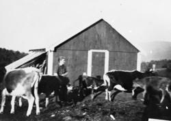 Setermotiv, Hansgardsetra.