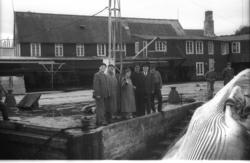 (Filmbeholder 53025 datert 26/-1951) .Miss Harøy døpes i cha