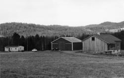 .(Bilder brukt i "Gards- og ættesoge for Nesset").