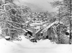 Fra v Svenskehus, dyrlege Hogstad (mørkt)...F.h krysset Gørv