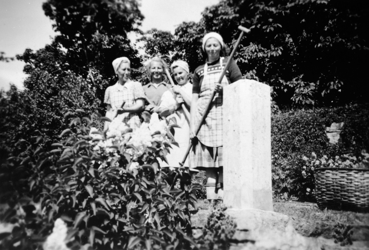 Fire damer med hageredskap jobber i prydhagen på Hoel gård, Nes, Hedmark. Fra venstre er Jenny Ekeberg, Ellen Evensen, Ingeborg Christensen, Oddbjørg Nicolaysen.