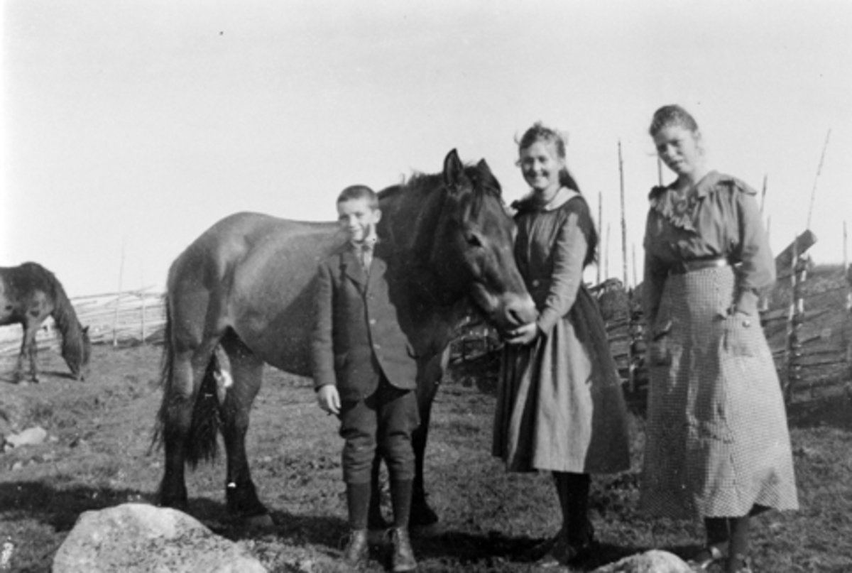 Fra Nysetra på Øyungen, Ringsaker almenning. Fra venstre er Thor Bjerke, Hjørdis Lier, Oddlaug Jevanord og hest.